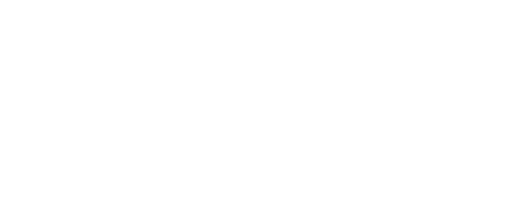 Google Reviews